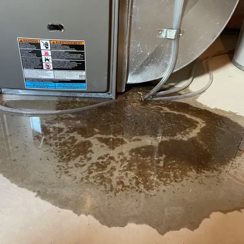 Appliance Leak Cleanup in Hopatcong, NJ